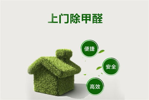 菏澤成武縣新房除甲醛與保潔清洗服務(wù)指南 打造健康潔凈新居